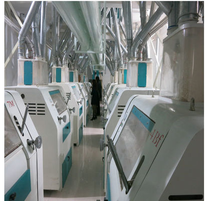 China Macarronete imediato preciso de controle de peso que faz a máquina o efeito de secagem excelente fornecedor
