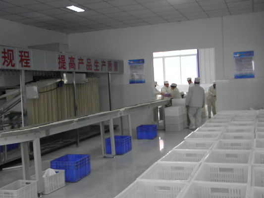 China Máquina de processamento secada dos macarronetes do ovo da galinha sabor saudável 12 meses de garantia fornecedor