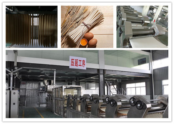 China Macarronetes totalmente automático secados máquina da vara do secador da massa do ISO do CE que fazem a máquina fornecedor