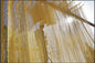 Macarronetes secados finos chineses que fazem a linha de produção fabricante da máquina fornecedor