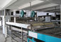 Conveniente opere a linha de processamento do macarronete, máquina prática de fazer macarronetes fornecedor