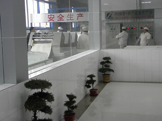 China Macarronete da venda da fábrica que faz a equipamento da máquina a máquina industrial do macarronete imediato fornecedor